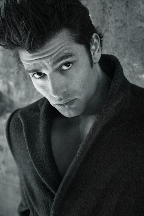 Nullam nec scelerisque dui