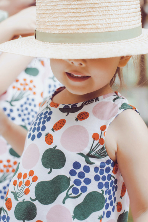 Sed vel venenatis risus