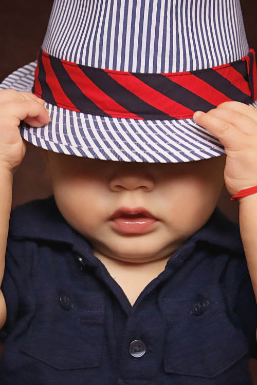 Nullam nec scelerisque dui