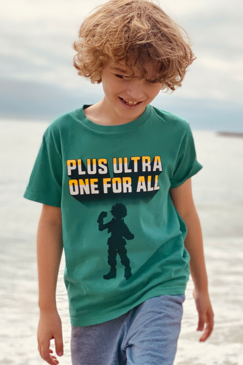 Nullam nec scelerisque dui