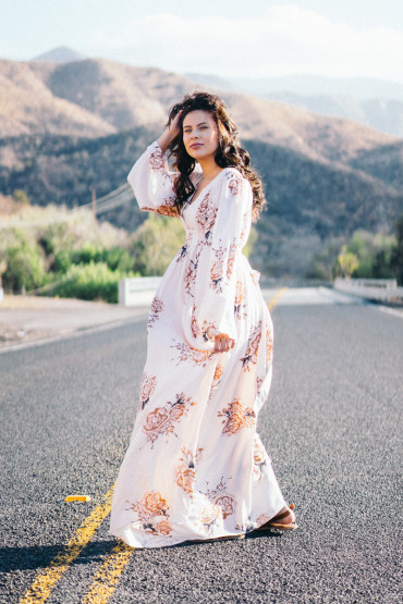 Morbi vel nulla ac leo ultricies placerat