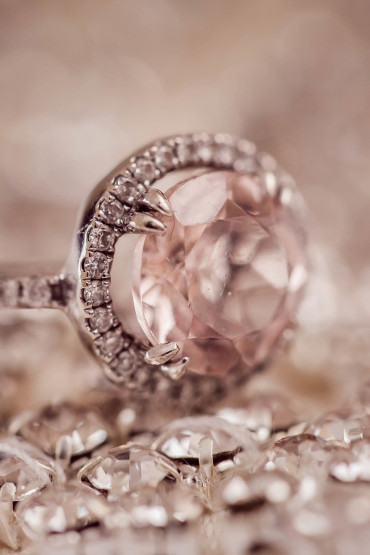 Fusce commodo sollicitudin